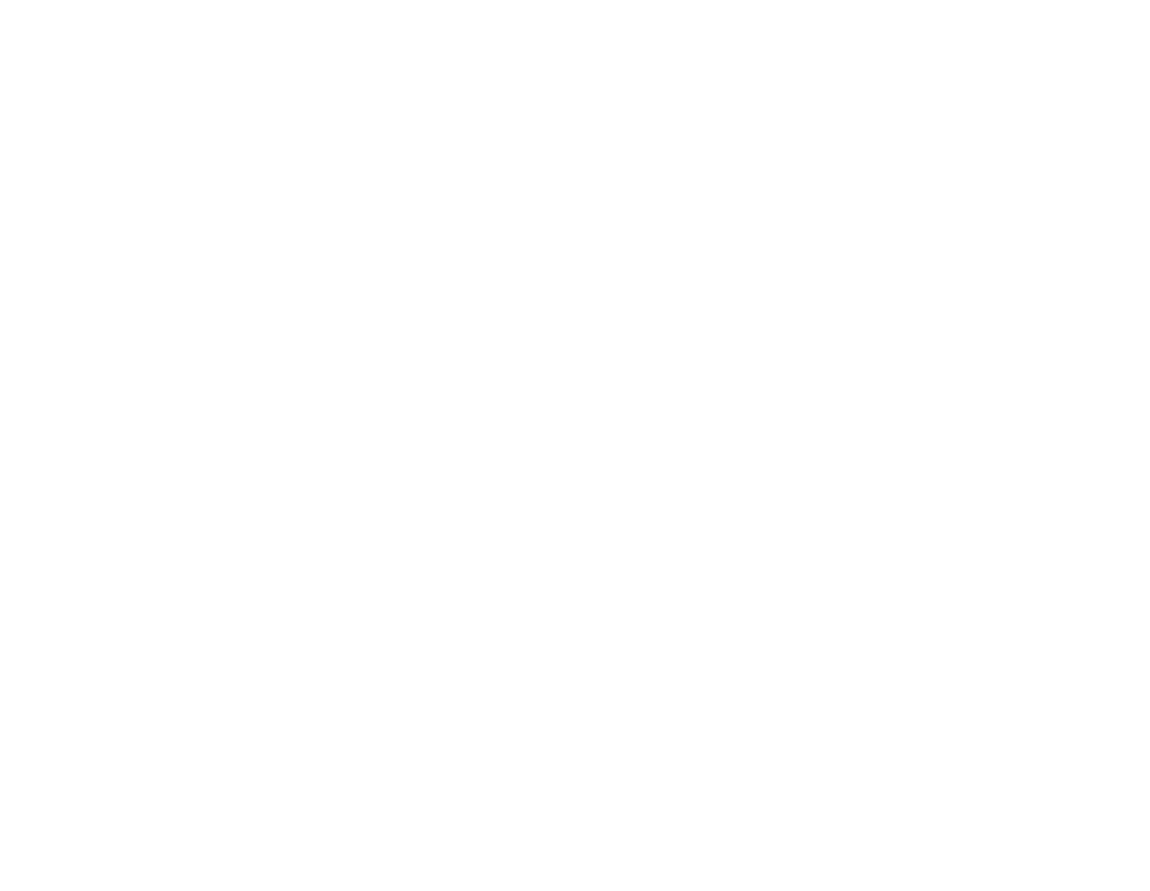 logo final eximus (1)